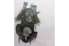 singe